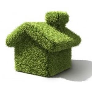 Government Grants for Green Homes 