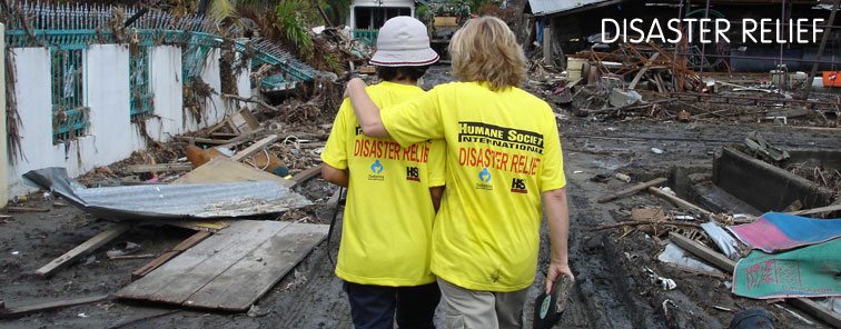 grant-for-disaster-relief