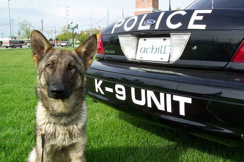Police K9 Grants and grants for police dogs