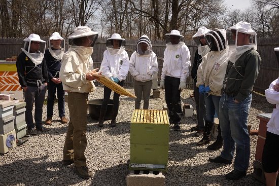 Grants for Starting an Apiary