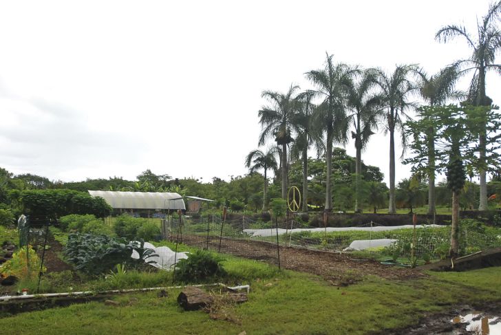 Agriculture Grants Hawaii