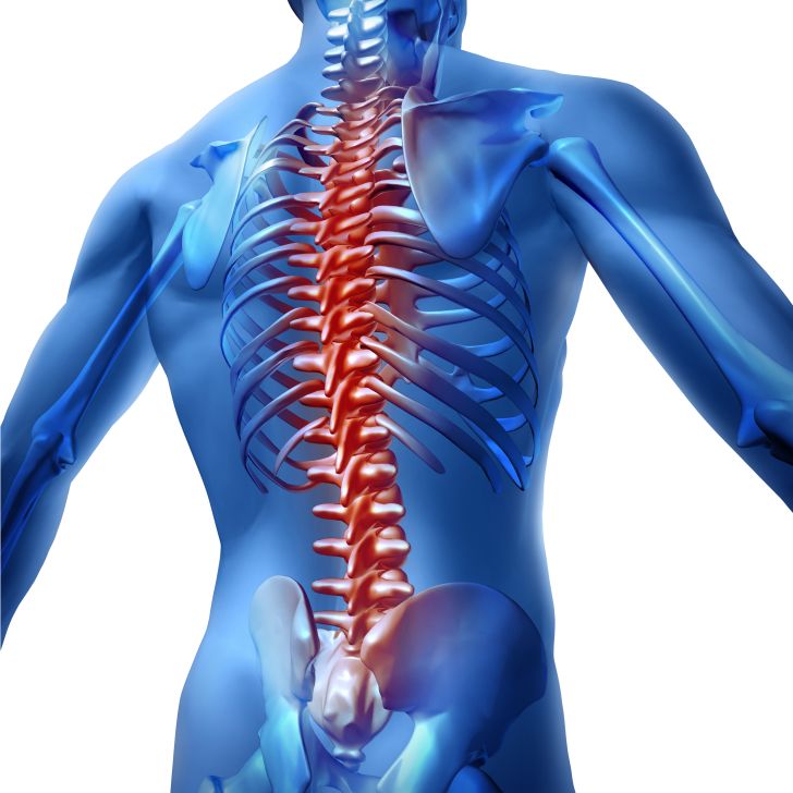 Spinal Cord Injury Research Grants