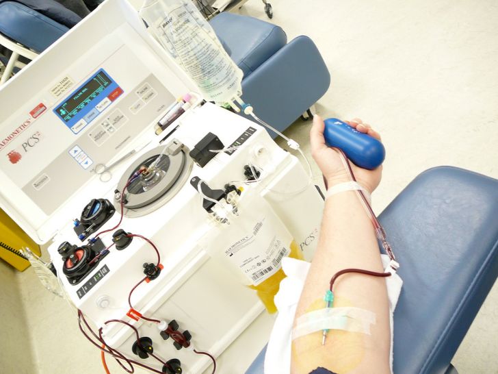 How Much Money Do You Get For Donating Plasma And Should I Donate Mine?