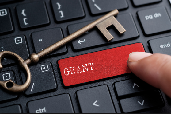 Business Grants for Immigrants