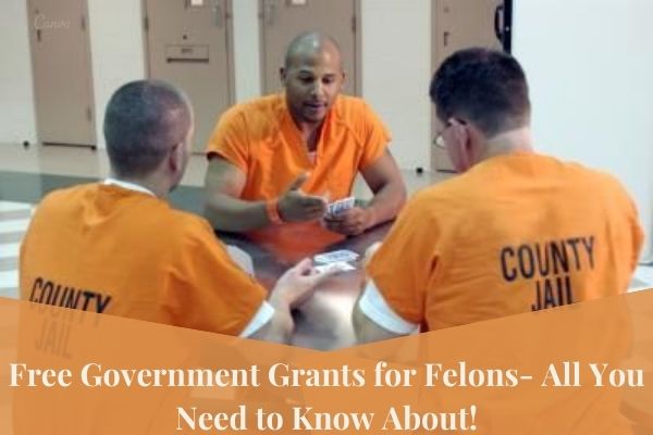 government grants for felons