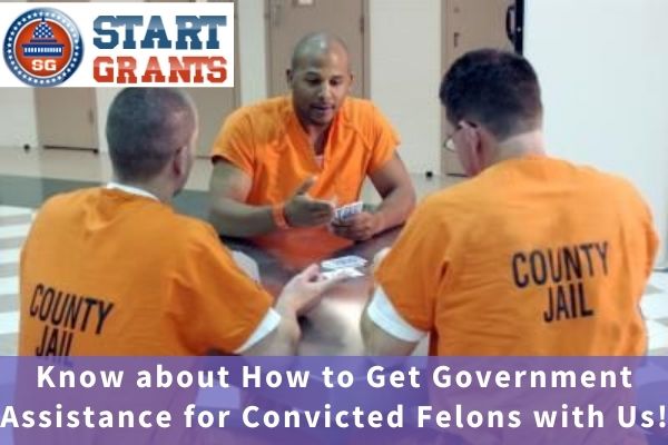 government-assistance-for-convicted-felons